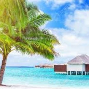 Island Fresh Hand Poured Soy (6.5oz) Candle